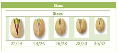 pistachios sizes